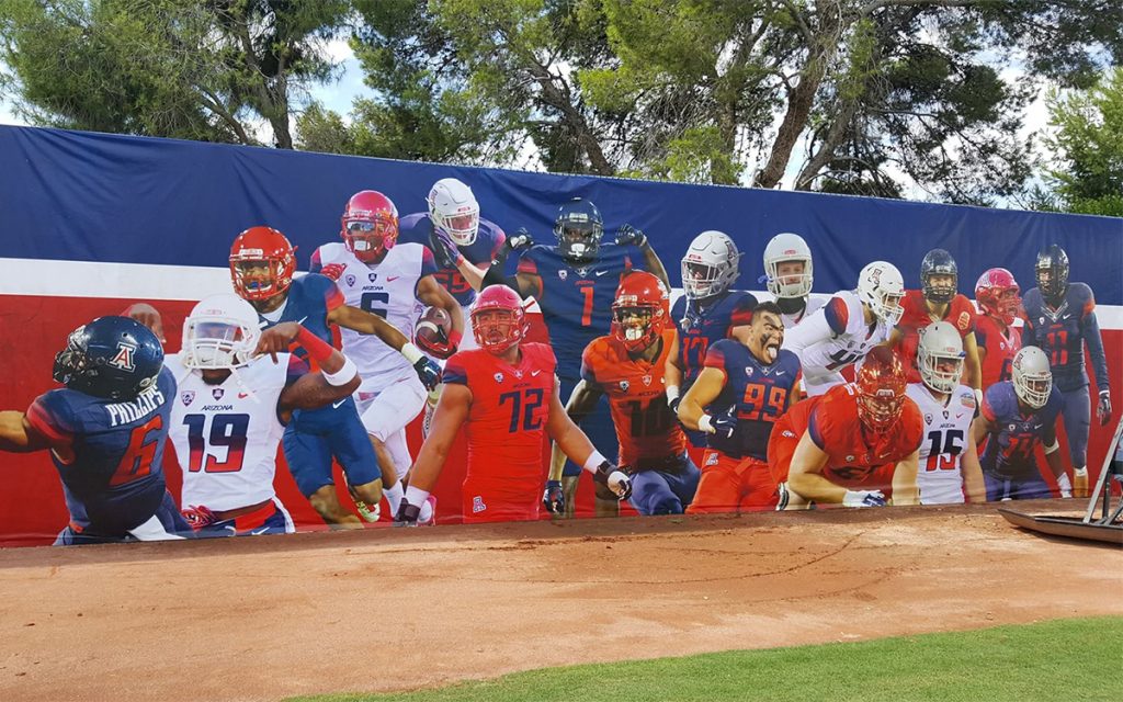 large penaflex of baseball