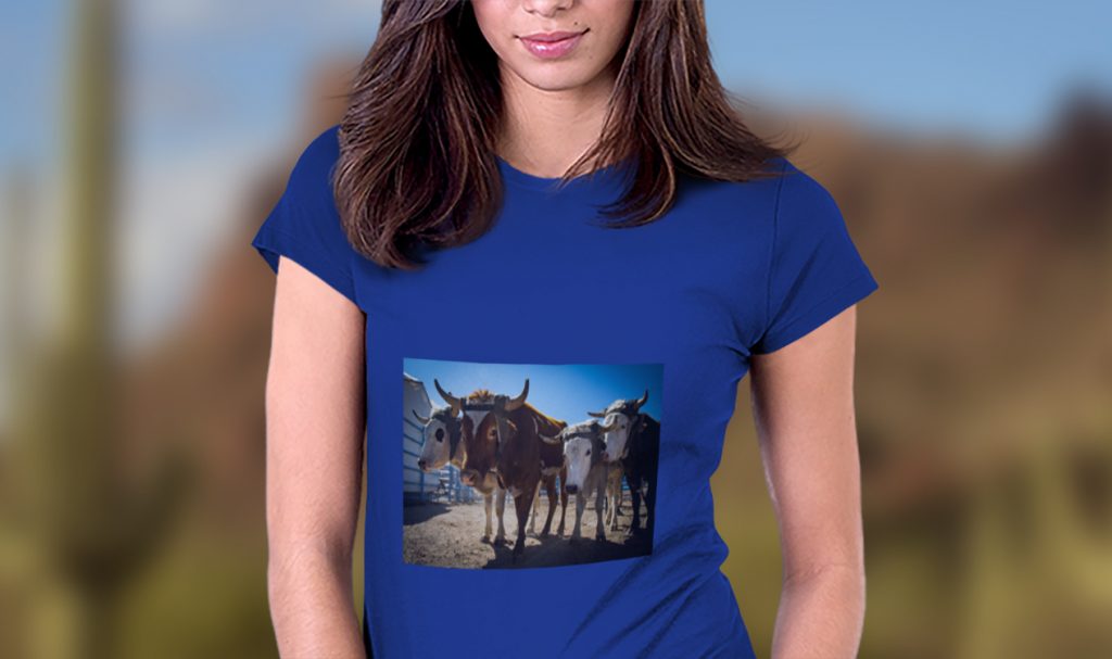 ladies t-shirt