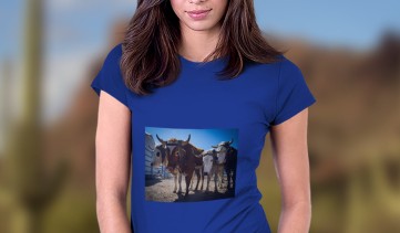 ladies t-shirt