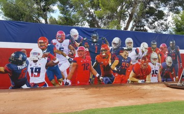 large penaflex of baseball